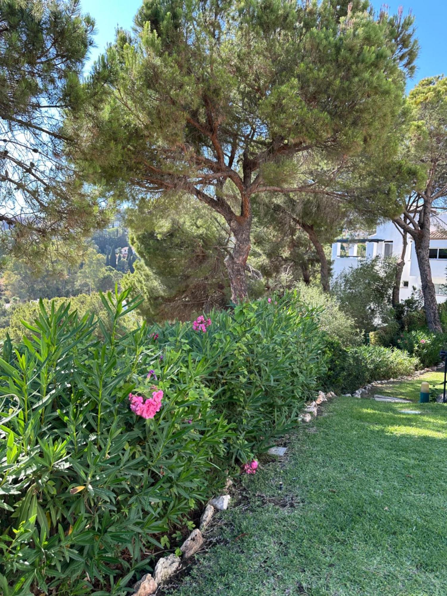 Marbella Golf Garden Apartment *
